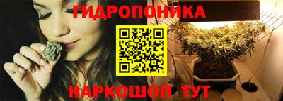 амф Можга