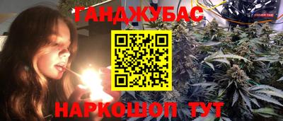 Альфа ПВП Моздок