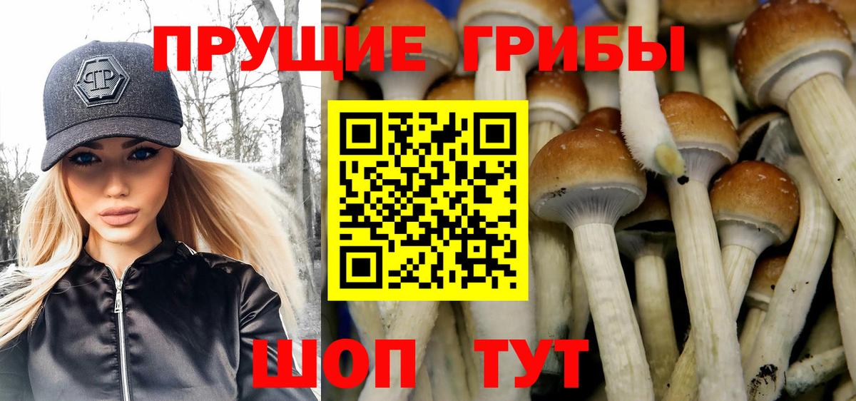 Псилоцибиновые грибы мухоморы  Вход с VPN  Чусовой 
