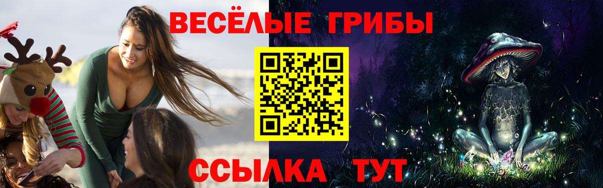 Галлюциногенные грибы Psilocybe Чусовой